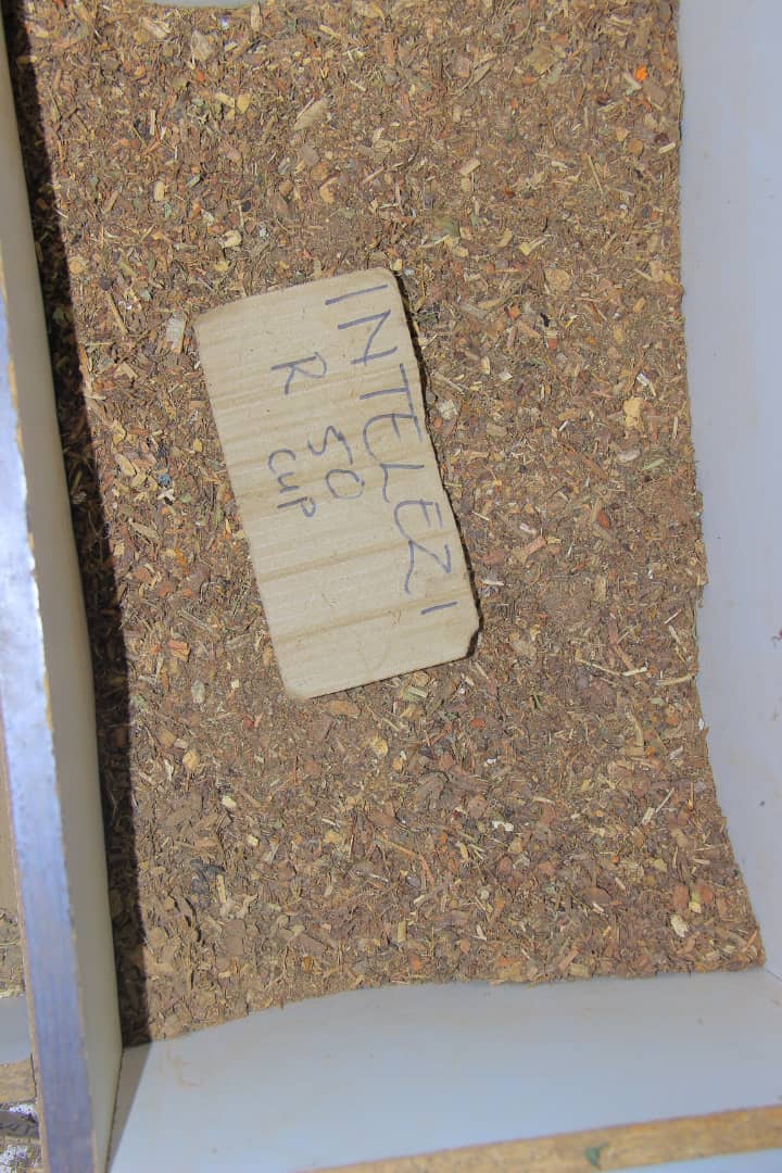 Sacred Abathandayo Remedy #181 - Authentic Traditional South African Remedy