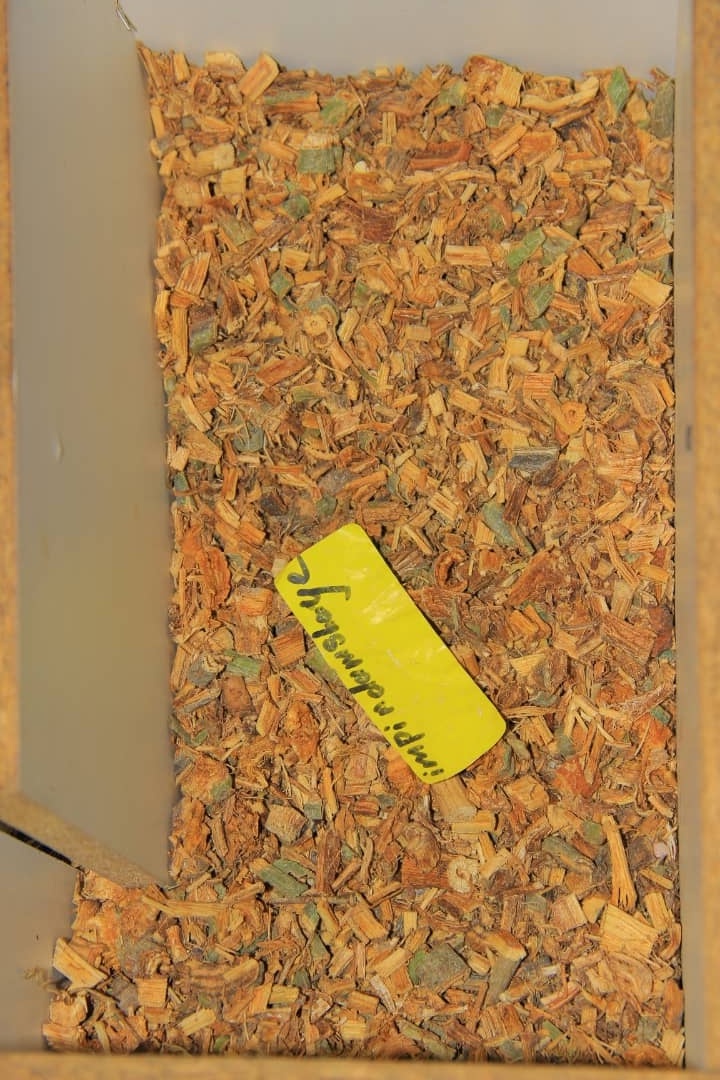 Sacred Abathandayo Remedy #340 - Authentic Traditional South African Remedy