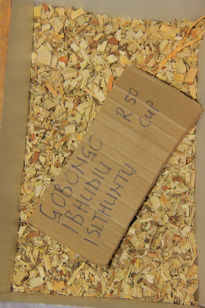 Wild Harvested Umhlonyane Stalks #376 - Authentic Traditional South African Remedy