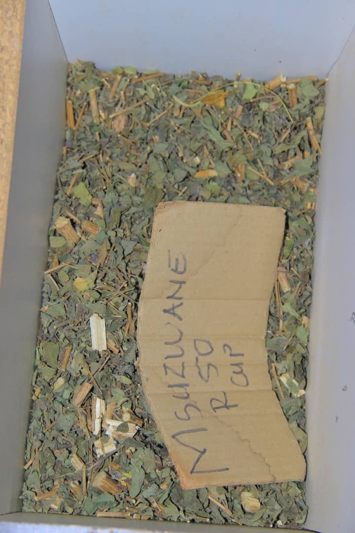 Wild Harvested Umhlonyane Stalks #388 - Authentic Traditional South African Remedy